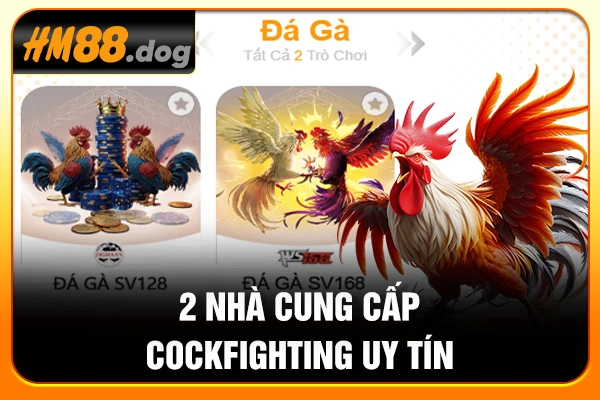 2 nhà cung cấp Cockfighting uy tín 2 nhà cung cấp Cockfighting uy tín