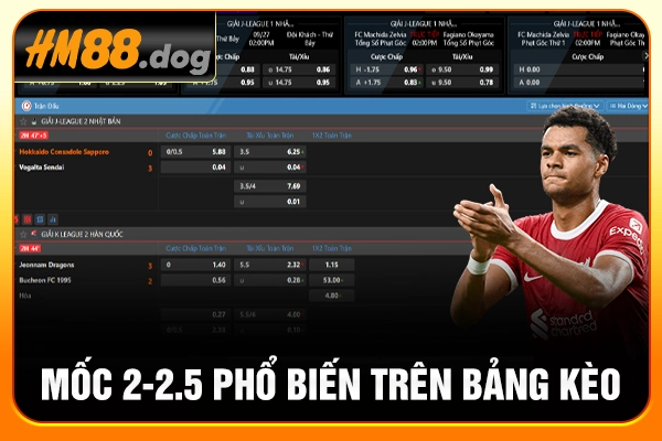 Mốc 2-2.5 phổ biến trên bảng kèo Mốc 2-2.5 phổ biến trên bảng kèo