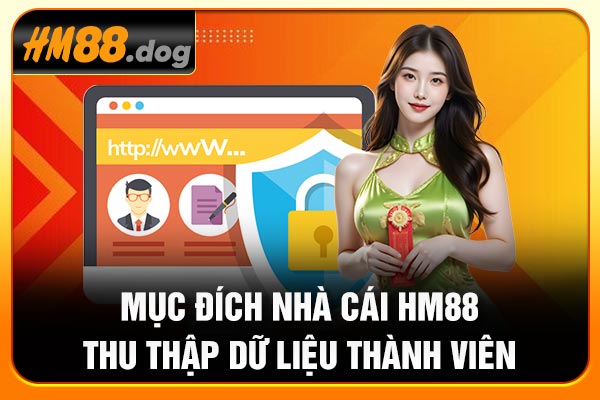Mục đích nhà cái Hm88 thu thập dữ liệu thành viên