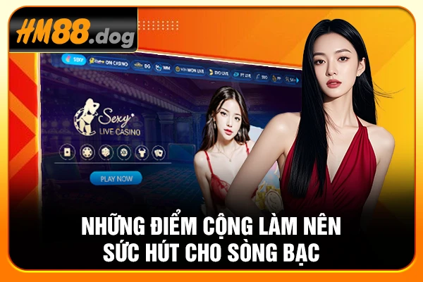 Những điểm cộng làm nên sức hút cho sòng bạc Những điểm cộng làm nên sức hút cho sòng bạc