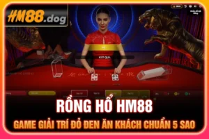 Rồng Hổ HM88 - Game Giải Trí Đỏ Đen Ăn Khách Chuẩn 5 Sao