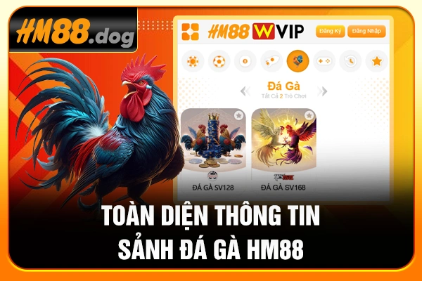 Toàn diện thông tin sảnh đá gà HM88 Toàn diện thông tin sảnh đá gà HM88